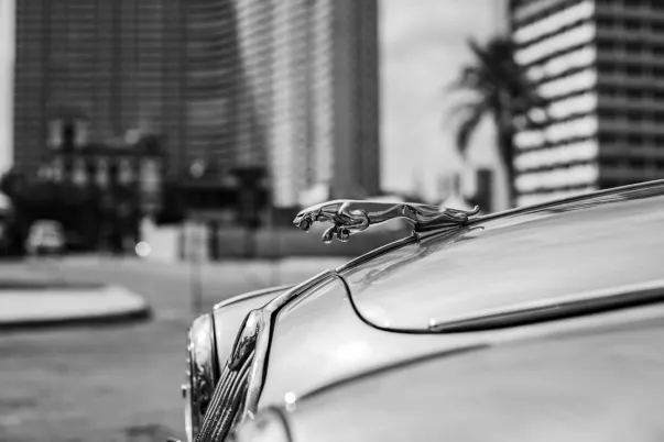 WagerWeb Kazino Android/iOS programa